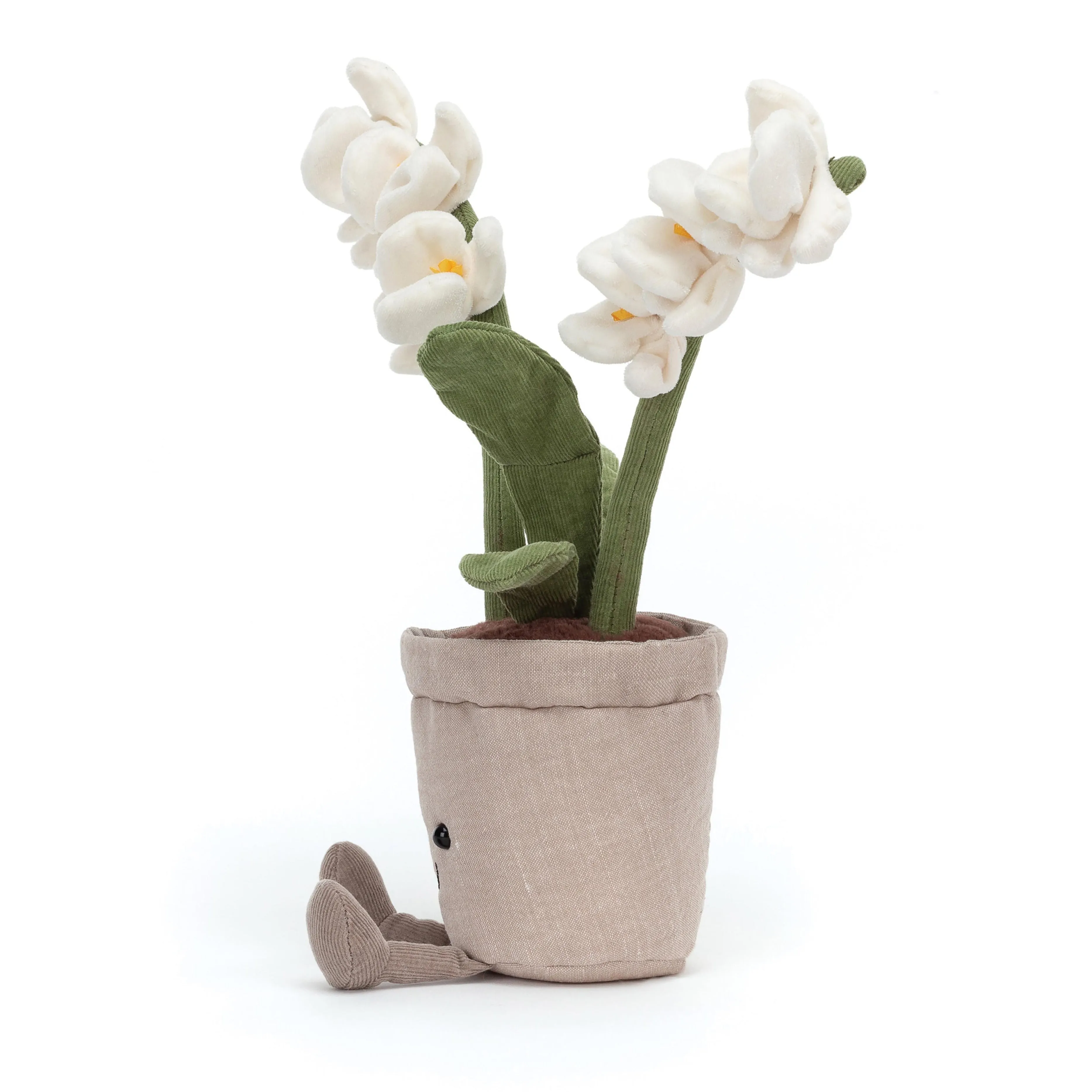 Amüsierbare Creme-Orchidee