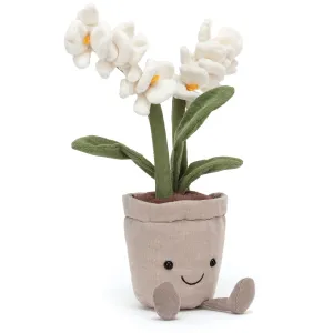 Amüsierbare Creme-Orchidee