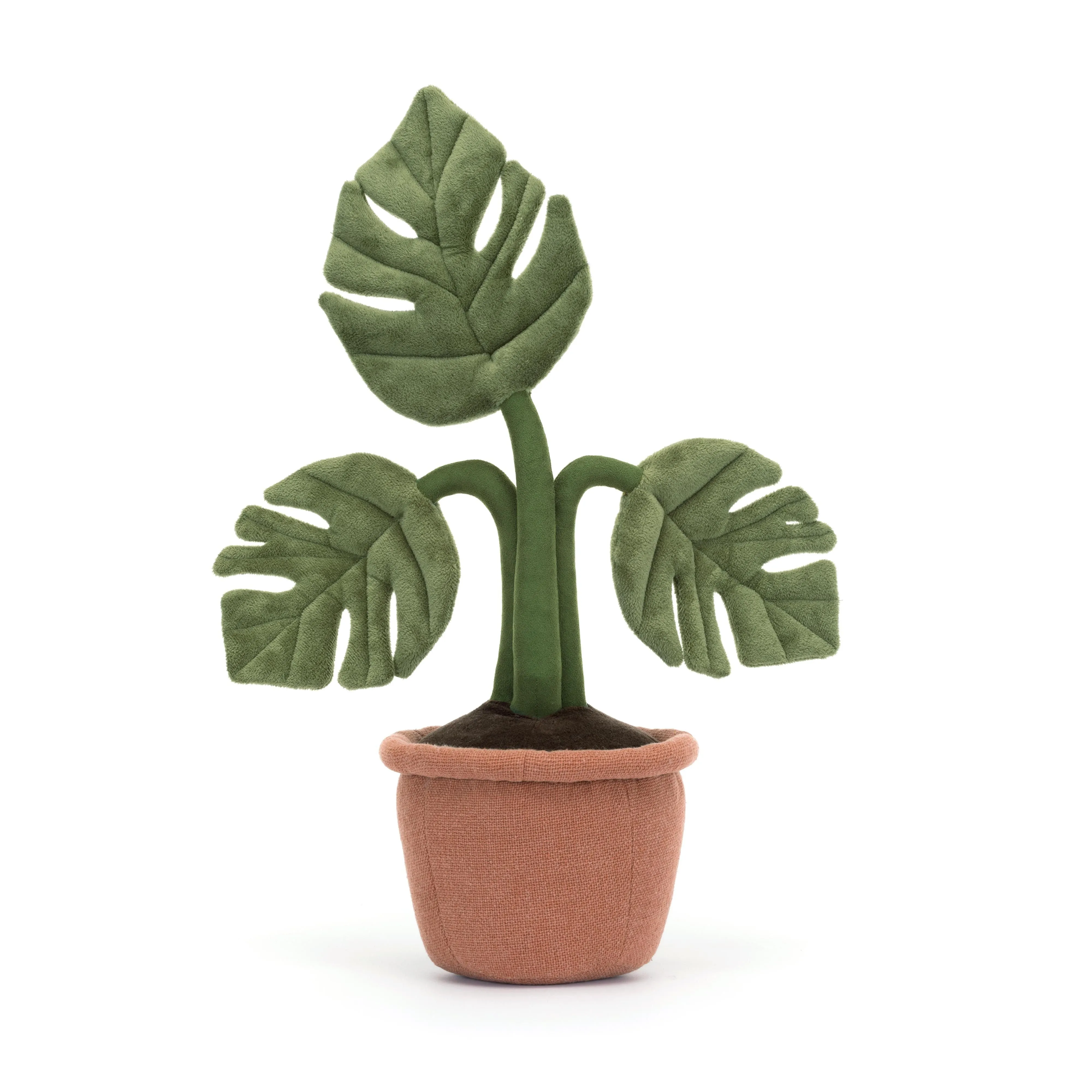Amüsierbare Monstera-Pflanze