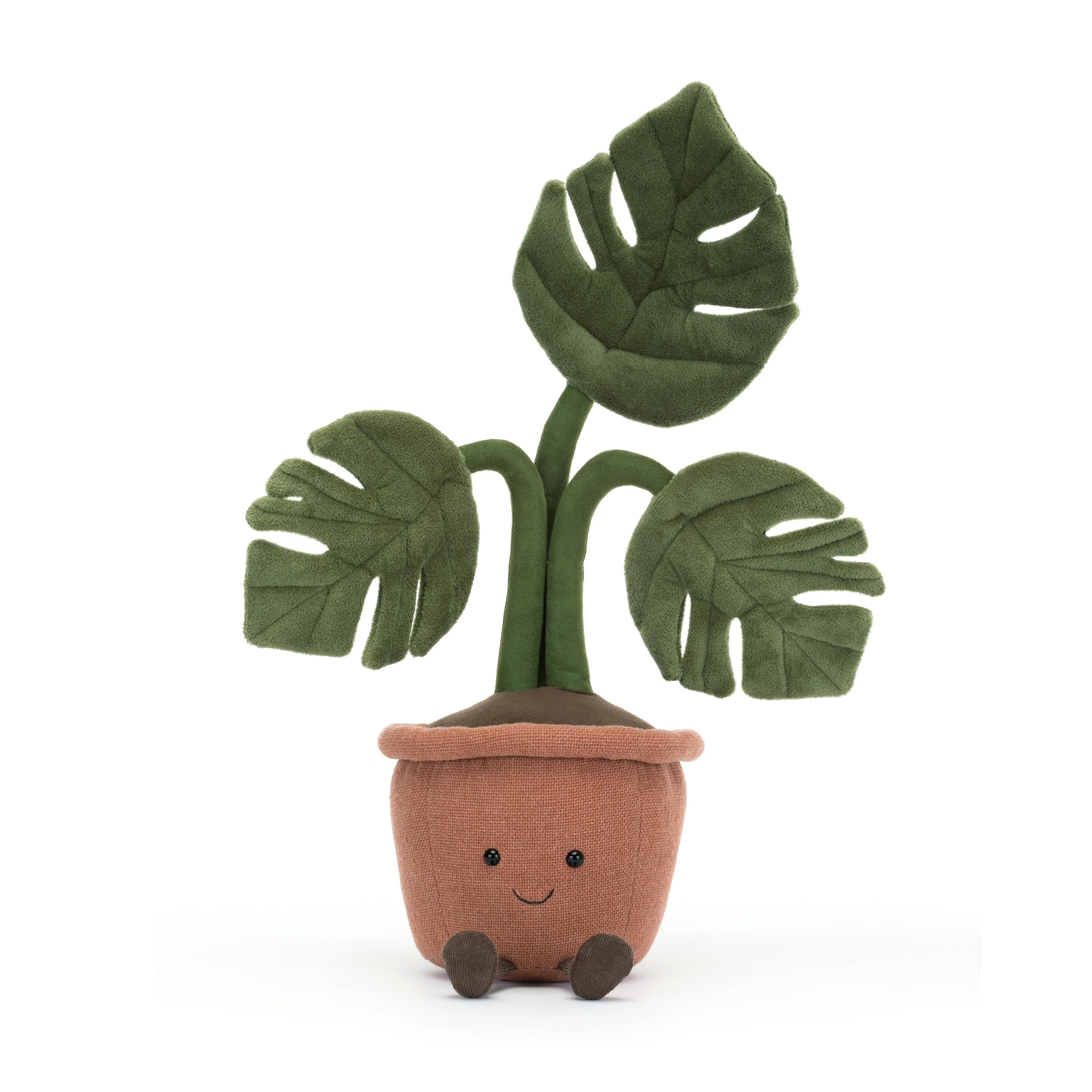 Amüsierbare Monstera-Pflanze