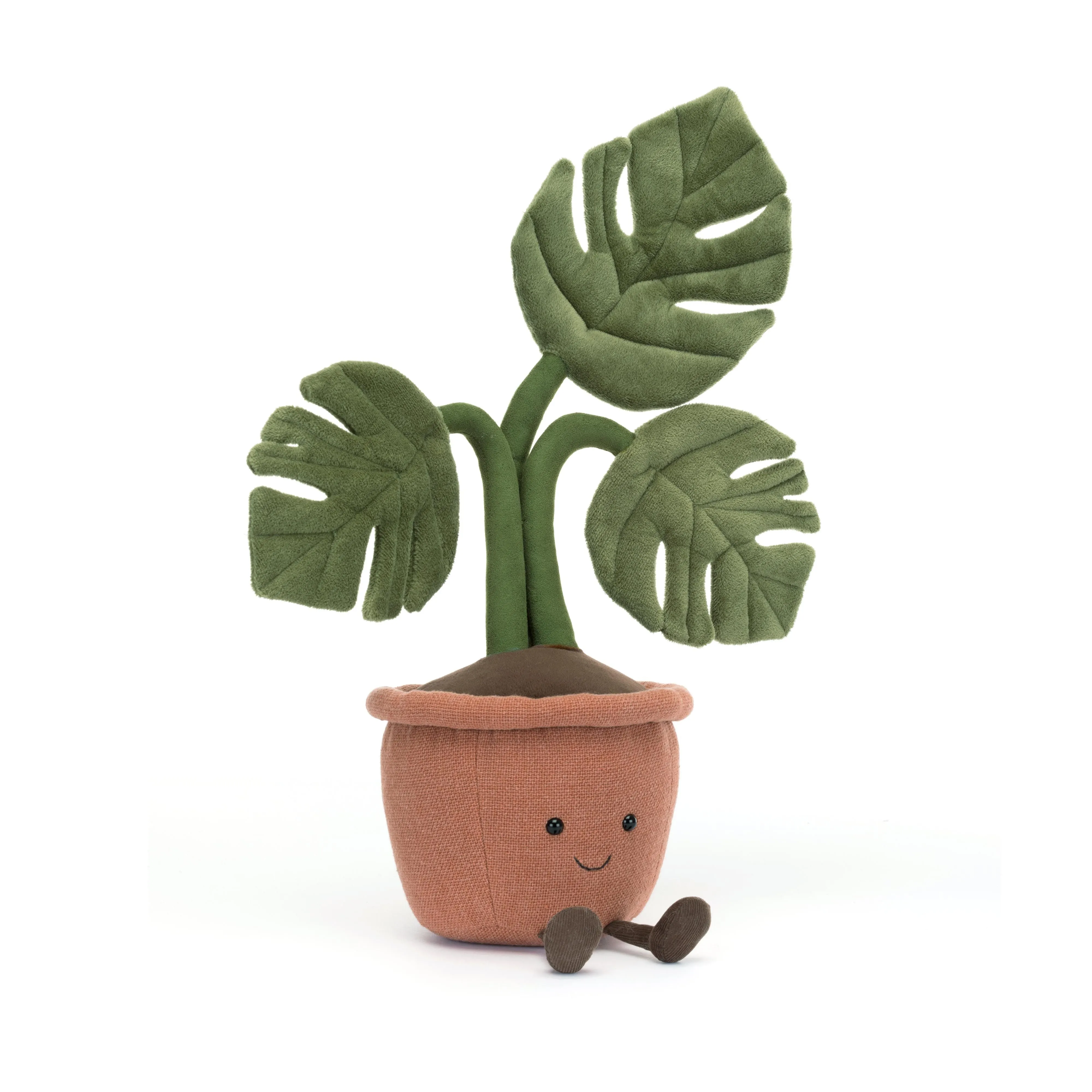 Amüsierbare Monstera-Pflanze