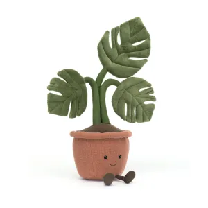 Amüsierbare Monstera-Pflanze