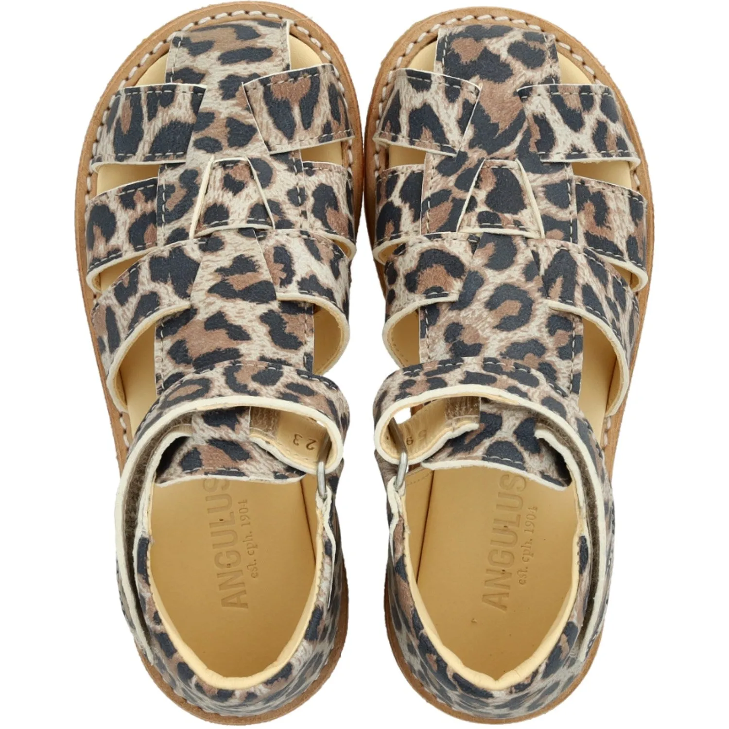 Angulus Leopard Wildleder Beginner Sandale Mittel mit Klettverschluss