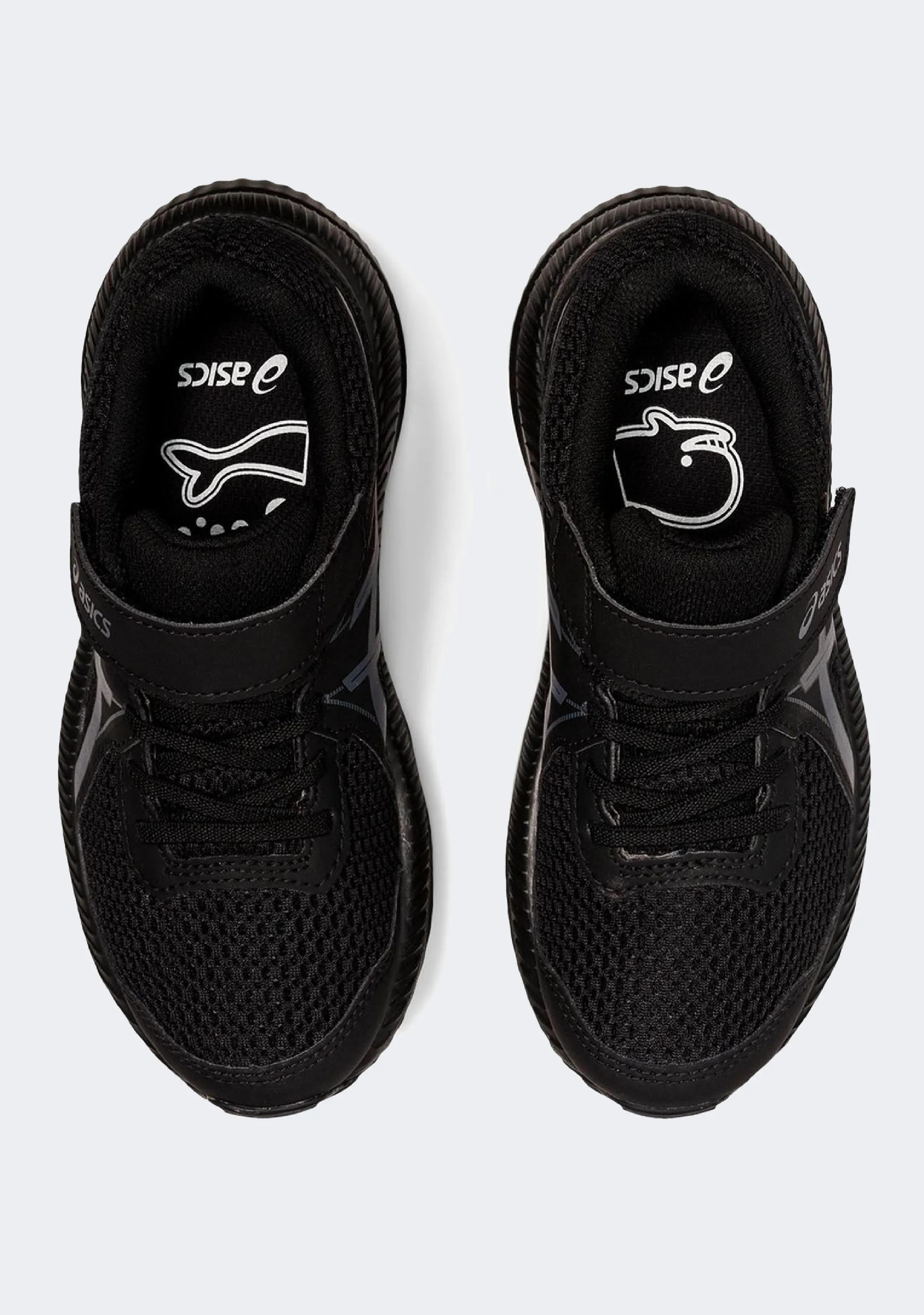 Asics Junior Contend 7 PS Asics Schuhe