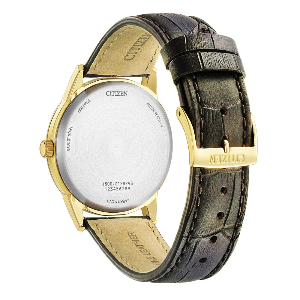 Citizen Uhren Citizen Eco-Drive AW0102-13A