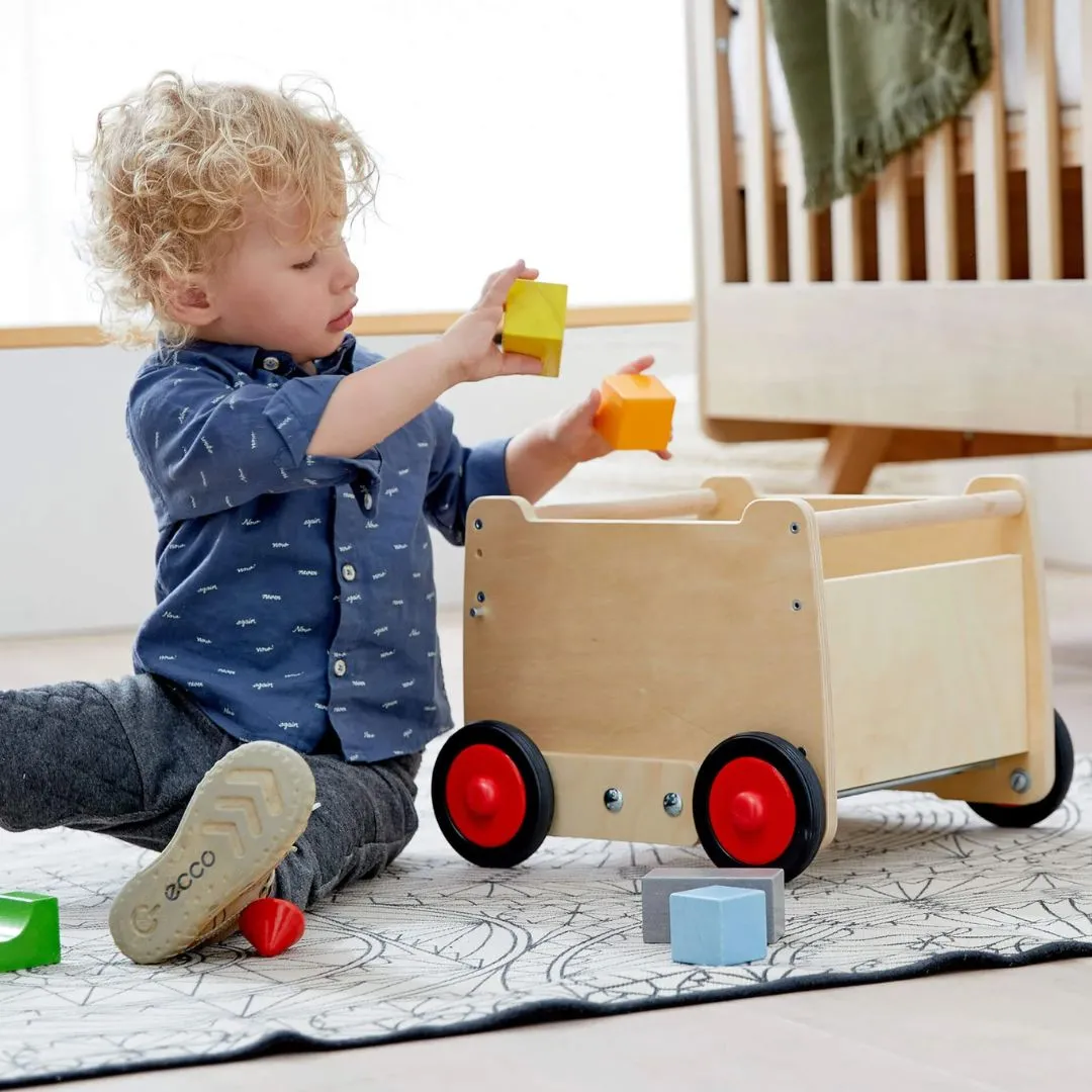 Drachenwagen Babywalker