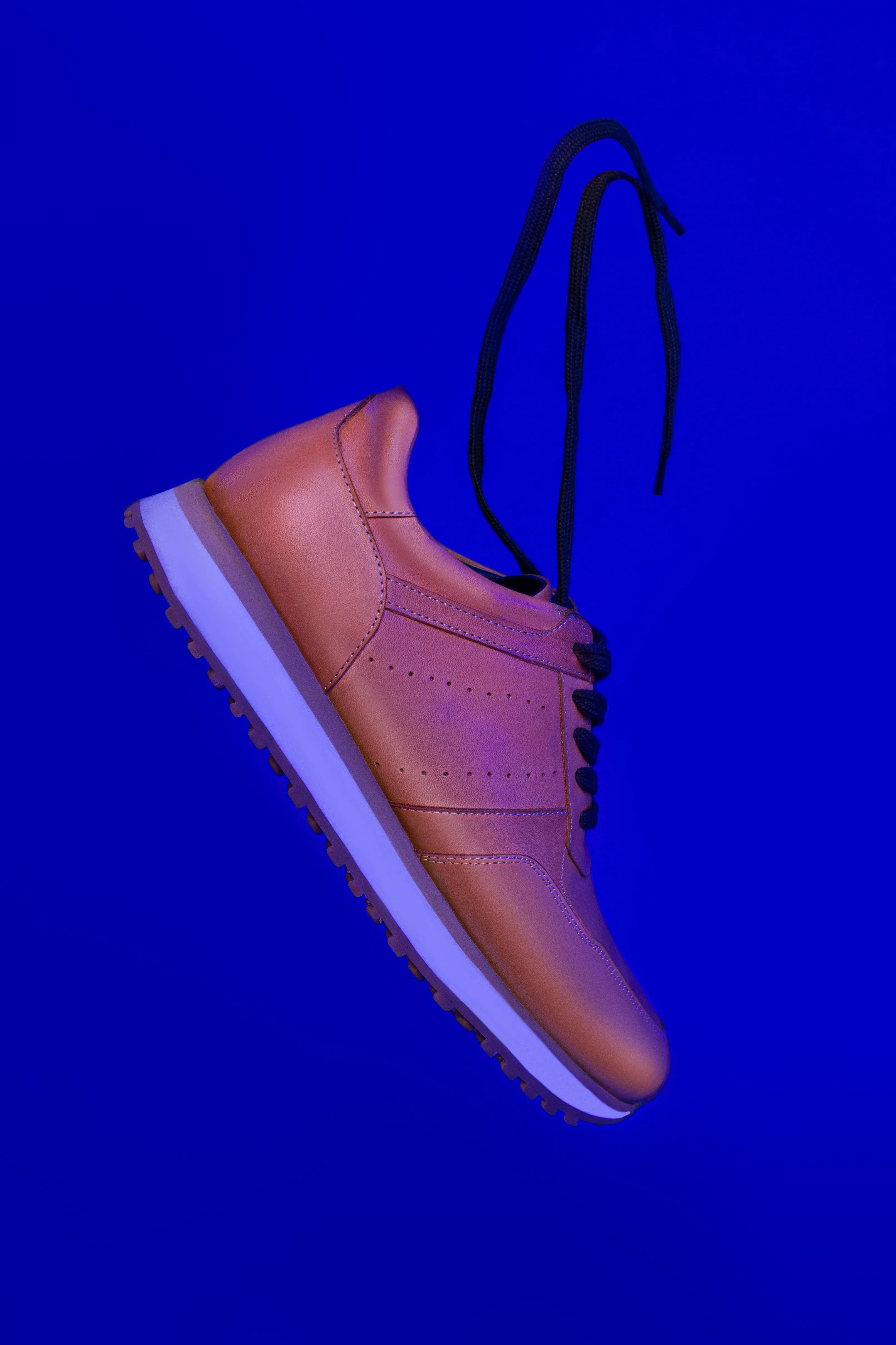 Fusion-Trainer