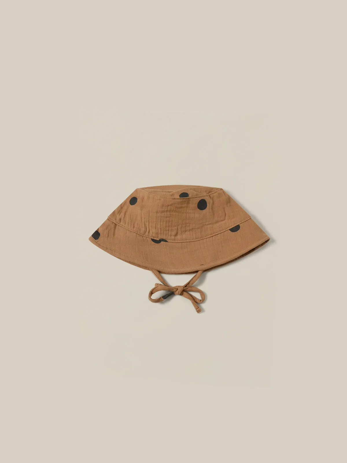 Goldpunkt-Eimer-Sonnenhut