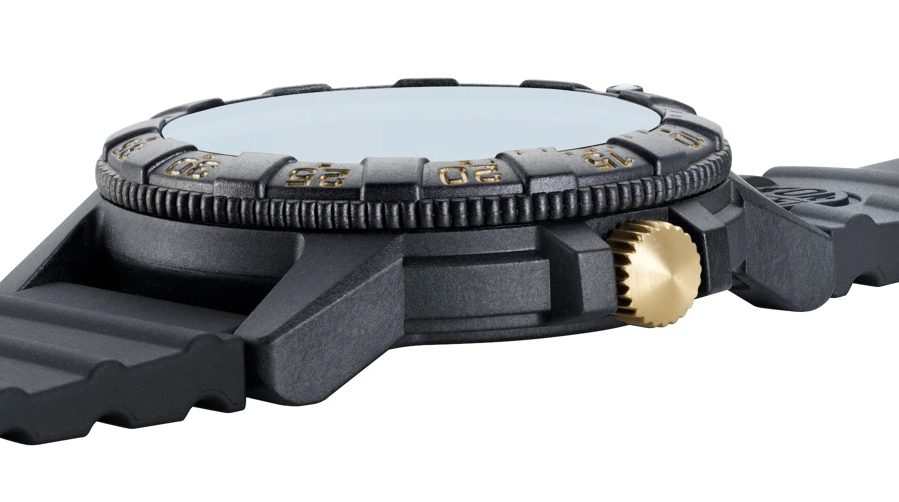 Luminox Uhren Luminox Leatherback Meeresschildkröte Riese 0320 Serie Uhr