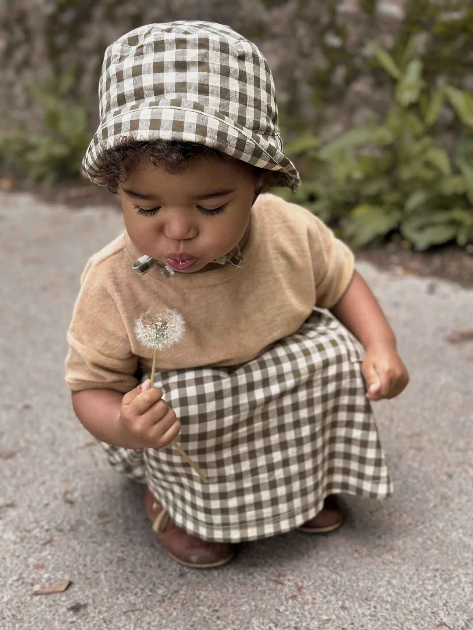 Olive Gingham Eimer-Sonnenhut