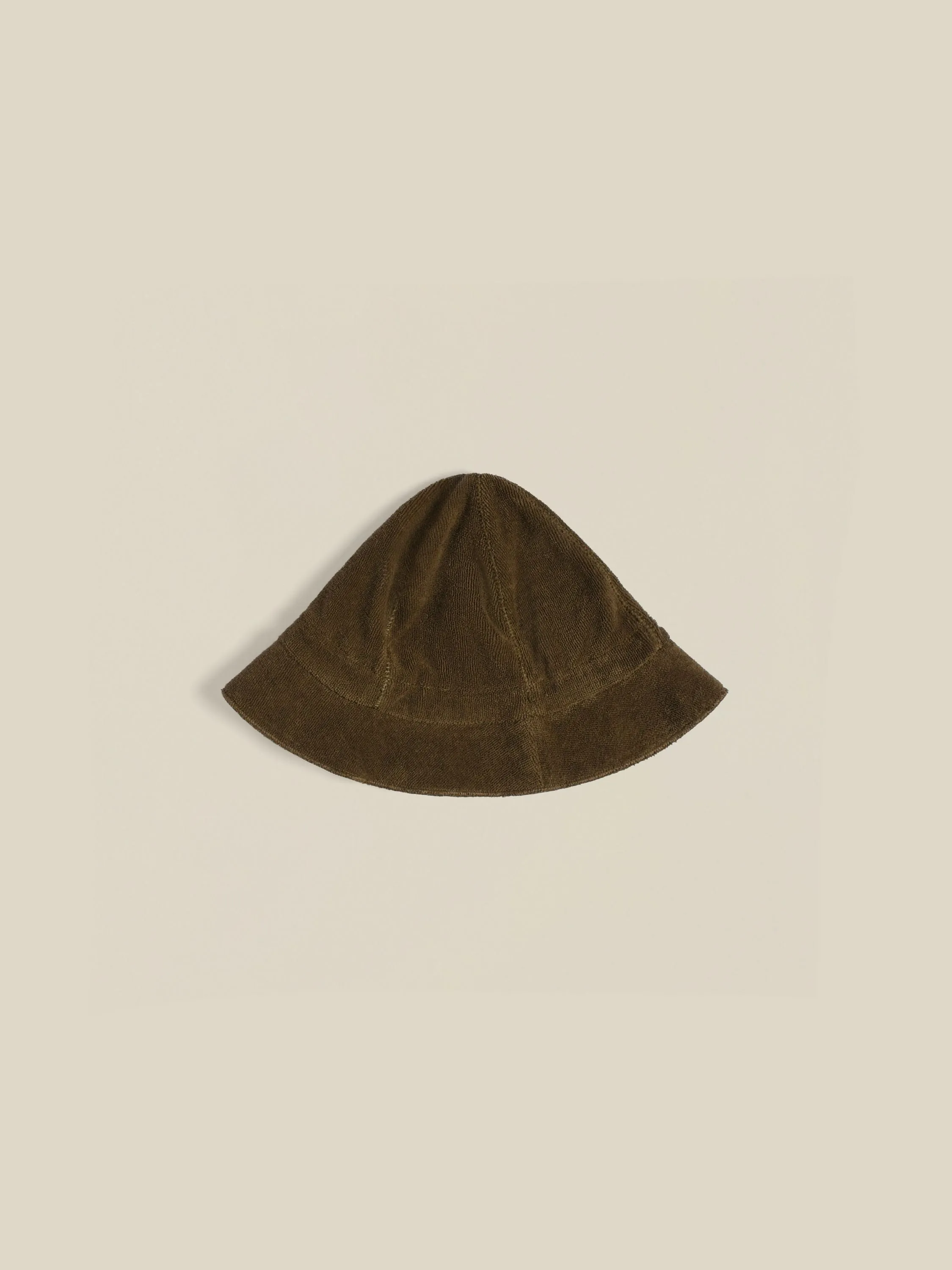 Olive Terry Sonnenhut