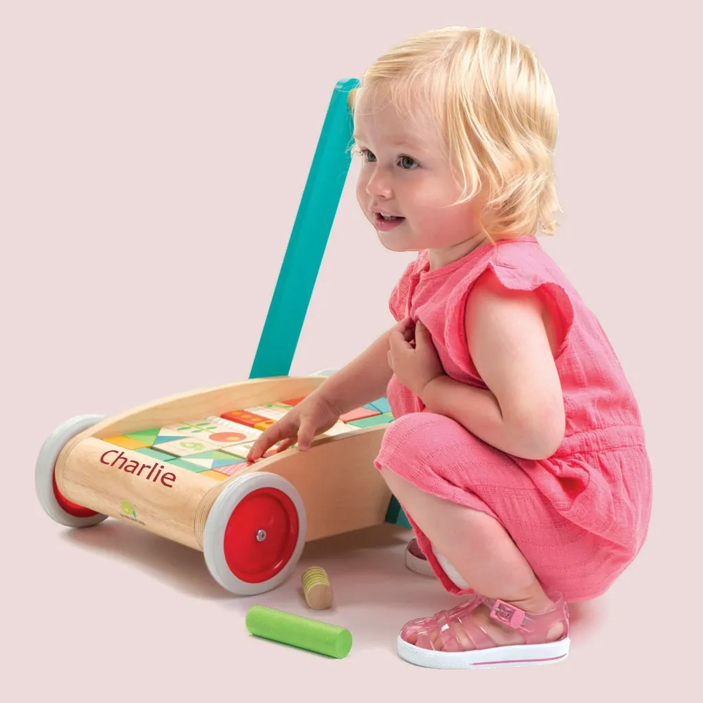 Personalisierter klassischer Baby-Block-Lauflernwagen