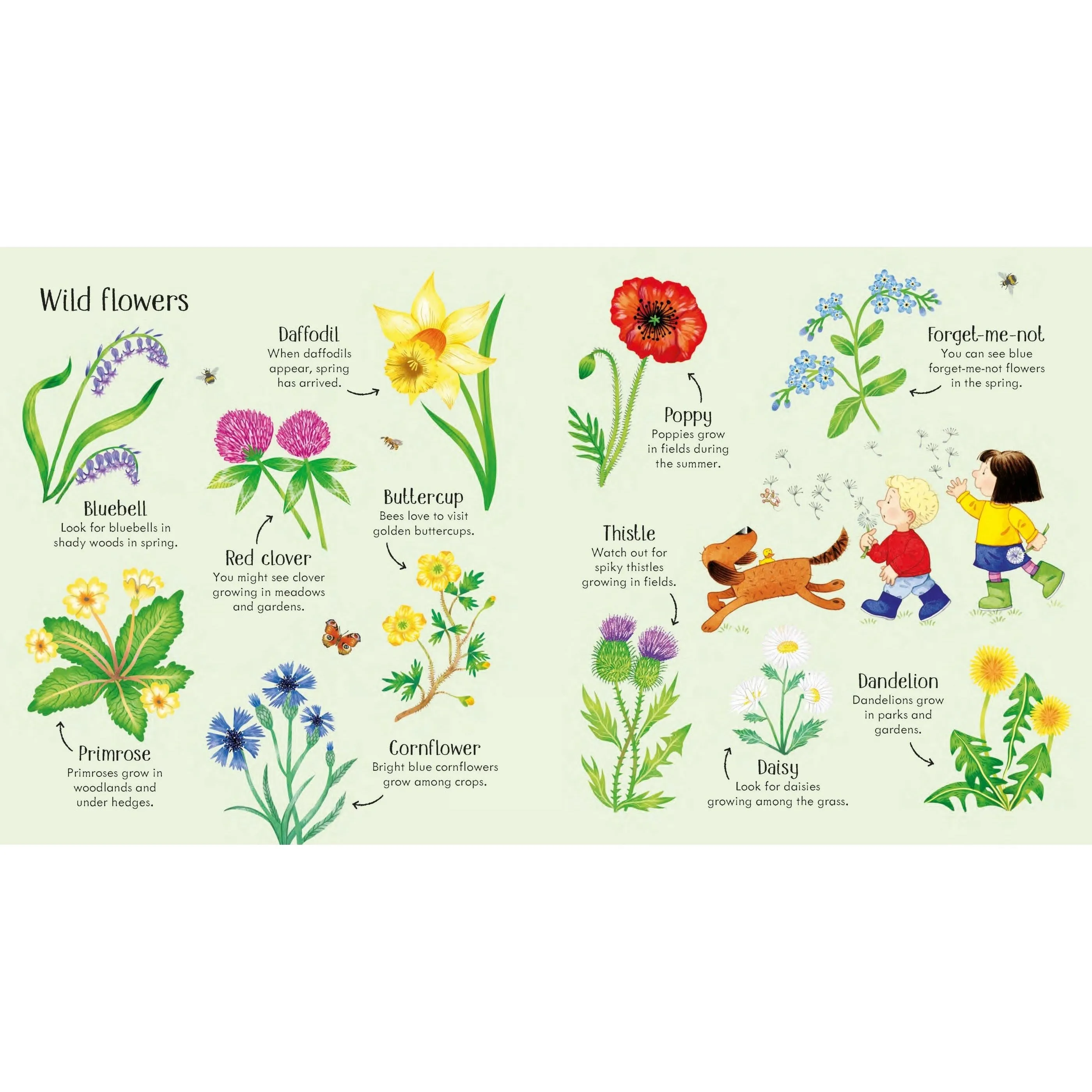 Poppy und Sams Natur-Entdeckerbuch