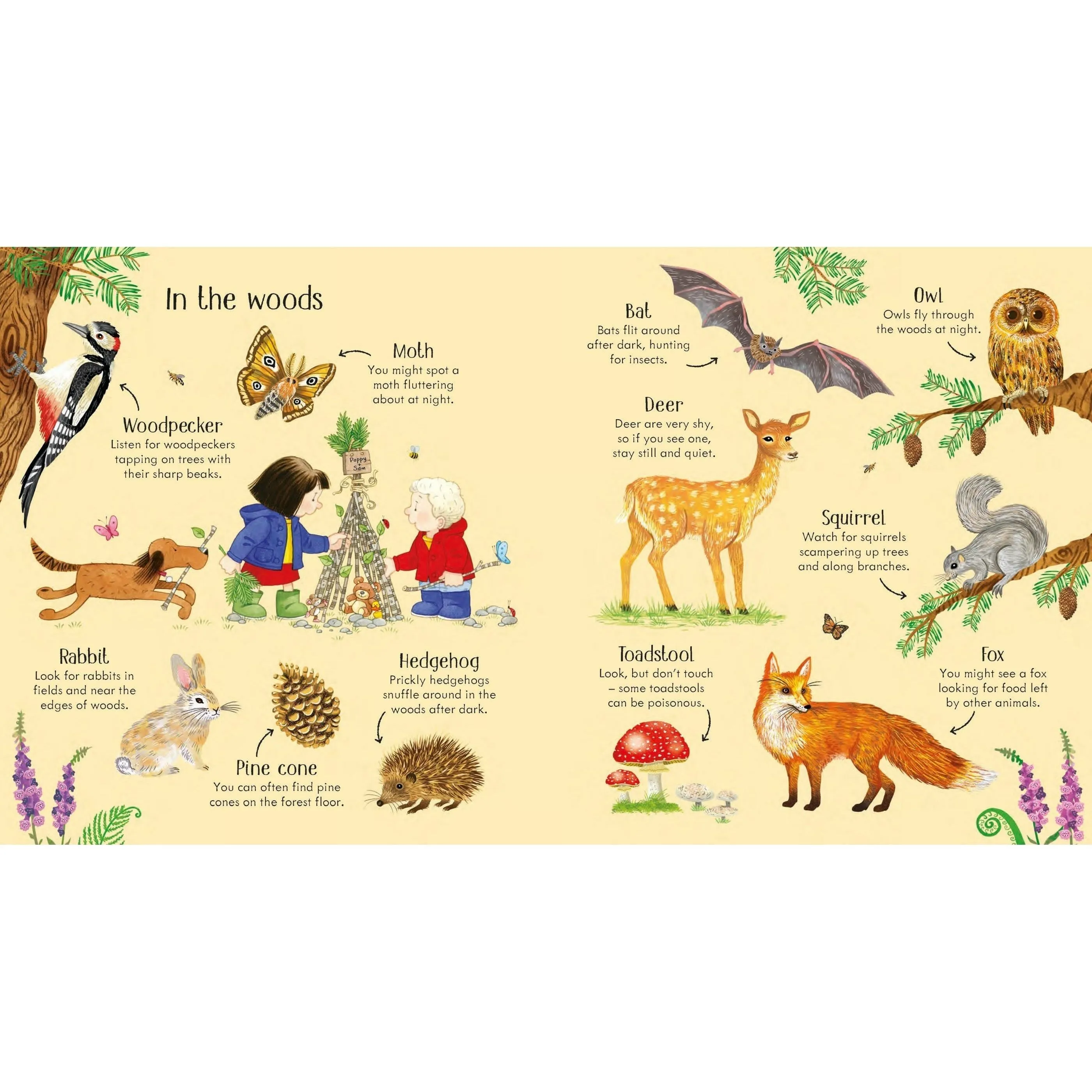 Poppy und Sams Natur-Entdeckerbuch