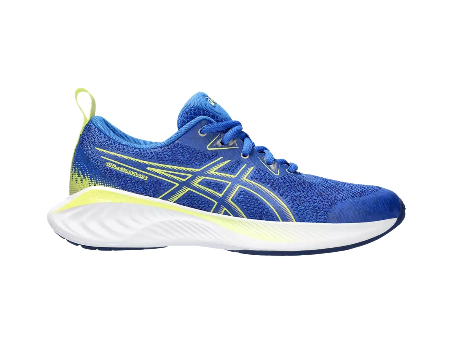 Schuhe Asics Asics Gel-Cumulus 25 GS Kinder
