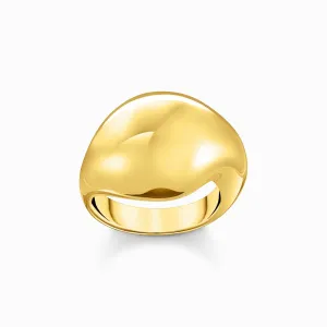 Sterling Silber Kühn Eleganz Vergoldeter Organisch Tropfenförmiger Ring TR2470-413-39 Thomas Sabo Ringe