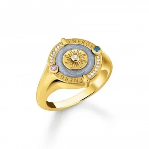 Sterling Silber vergoldeter Stein Emaille Zirkonia blauer Siegelring TR2449-974-1 Thomas Sabo Ringe