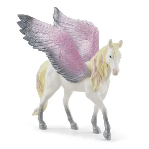 Sonnenaufgang Pegasus