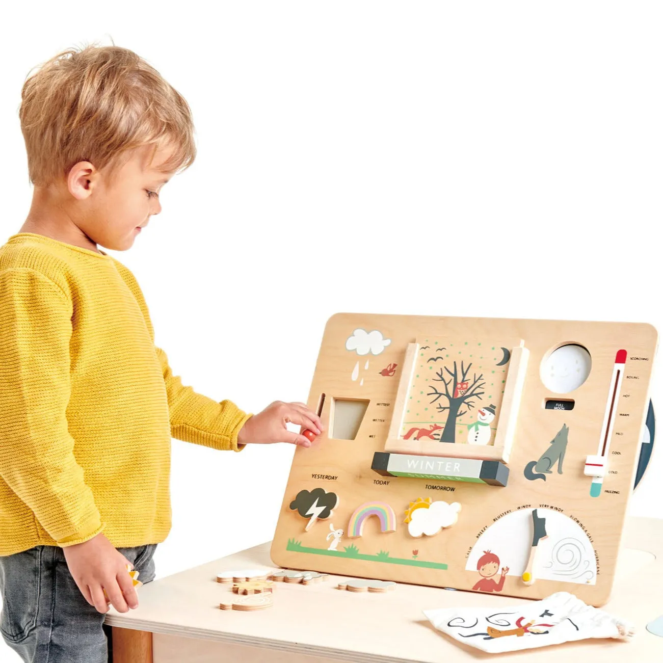 Tender Leaf Toys Wetterbeobachtung