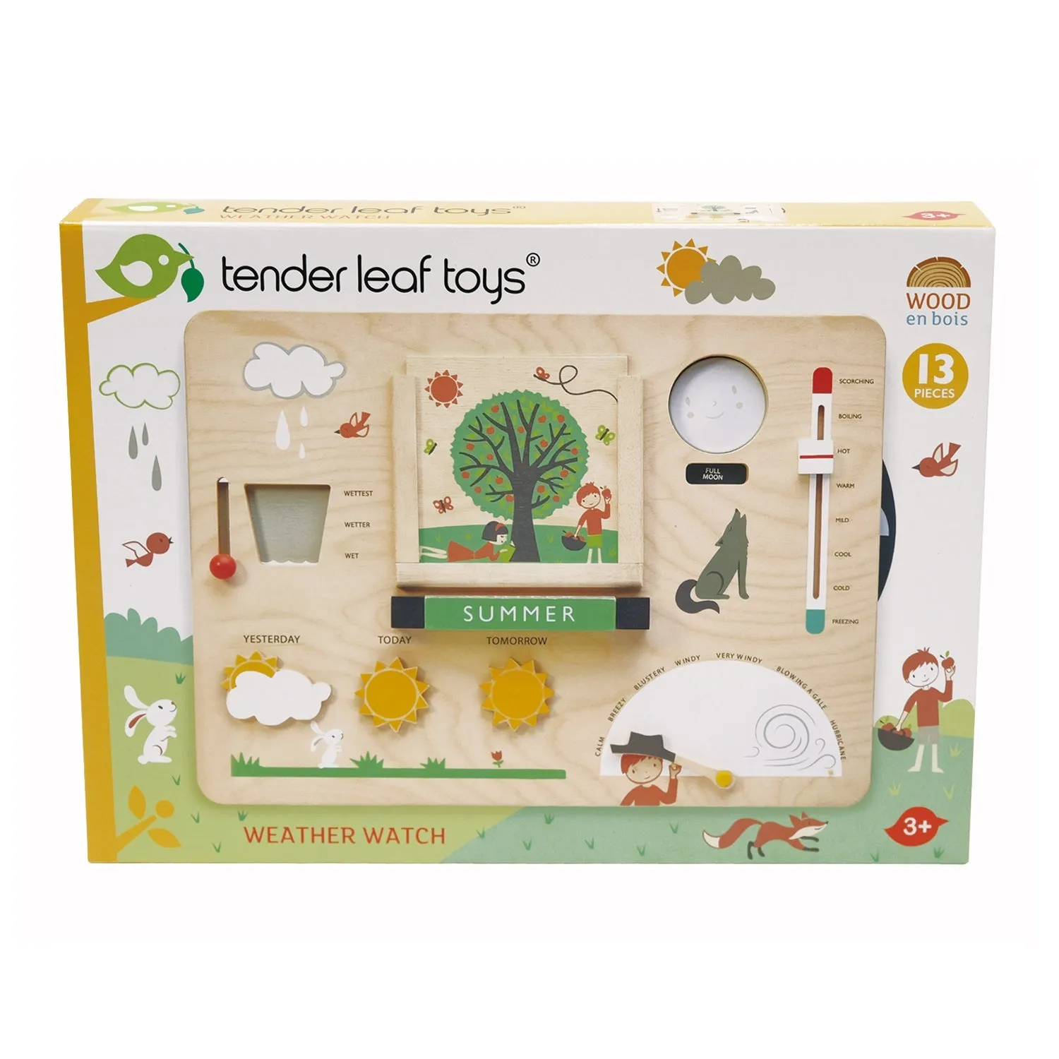 Tender Leaf Toys Wetterbeobachtung